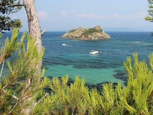 Hiking around the ridges of Port-Cros island (Var)