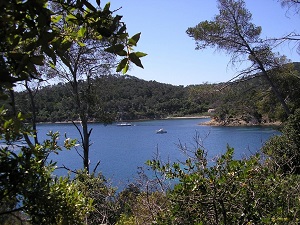 Randonnée autour des crêtes de l'île de Port Cros (Var) 5