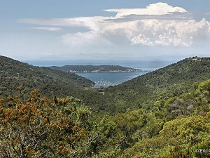 Randonnée autour des crêtes de l'île de Port Cros (Var) 7