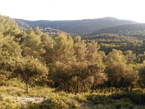 Hiking in Provence Energy mines North trail  (Bouches-du-Rhone) 3