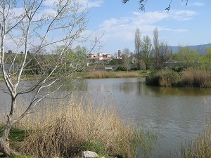 Hiking in Provence Energy mines North trail  (Bouches-du-Rhone) 5