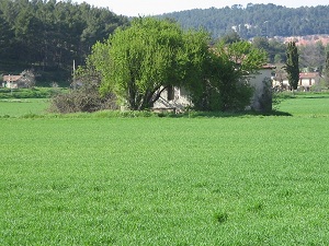 Hiking in Provence Energy mines North trail  (Bouches-du-Rhone) 6