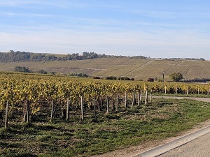 Randonnée autour du Pays de Rétif de La Bretonne (Yonne) 5