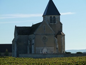 Hike around Retif de La Bretonne region (Yonne)