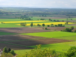 Hike around Revermont (Ain, Jura) 4