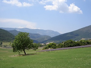 Randonnée autour de la Vallée de la Roanne (Drôme)