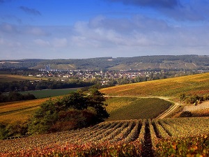 Hiking around Sarce and Hozain Valley (Aube) 7