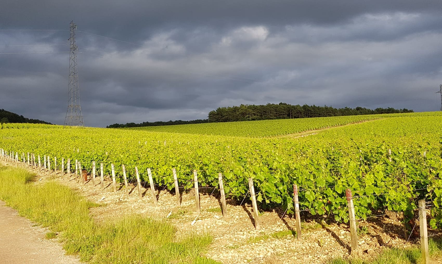 Tour des Vallées de la Sarce et de l'Hozain (Aube)