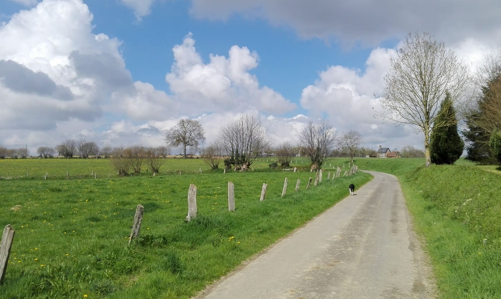 Tour of the Balconies of the Sée River (Manche)