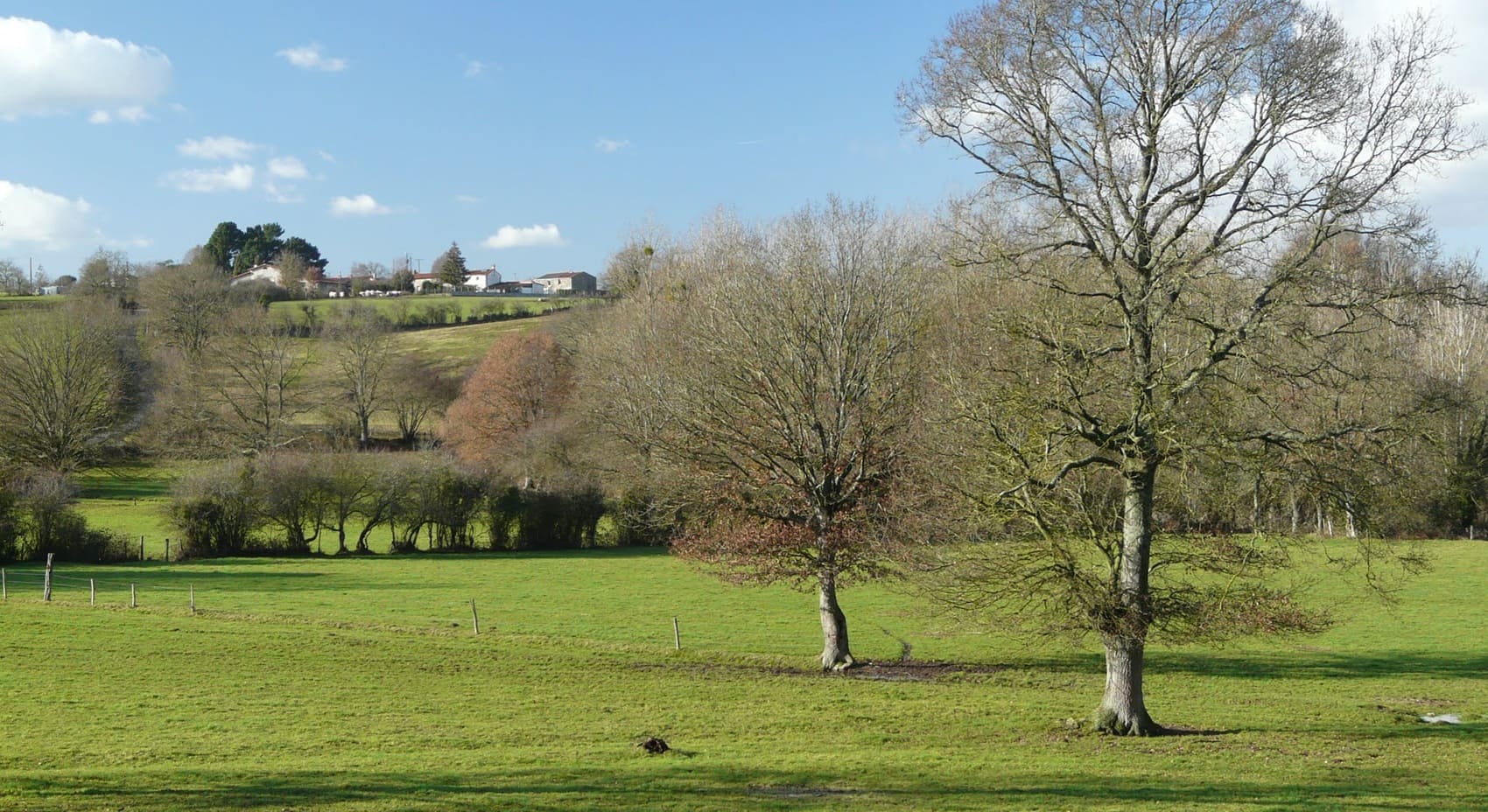 Loop around Sevre et Maine Bocage (Loire-Atlantique, Vendee)
