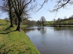 Hiking around Sevre and Maine Hills (Vendee) 7