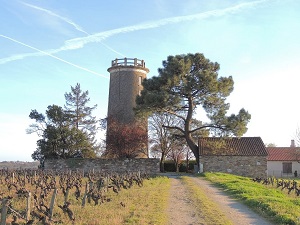 Randonnée autour du vignoble de Sèvre et Maine ( Loire-Atlantique, Vendée) 4