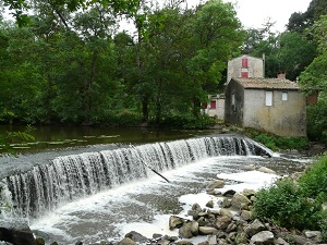 Hiking around Sevre and Maine vineyards (Loire-Atlantique, Vendee) 6