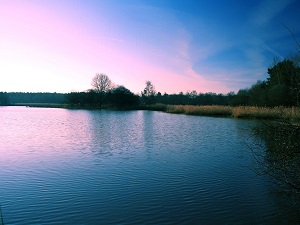 Hiking around Sologne (Loiret, Cher, Loir-et-Cher) 5