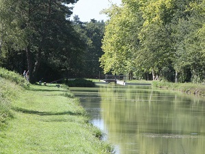 Randonnée autour de la Sologne (Loiret, Cher, Loir-et-Cher) 7