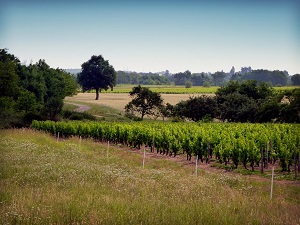 Hiking on the footsteps of Master Bell Ringers (Indre-Cher-Allier) 5