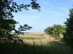 Traversée de la Sylve d'Argenson (Deux-Sèvres, Charente-Maritime) 7