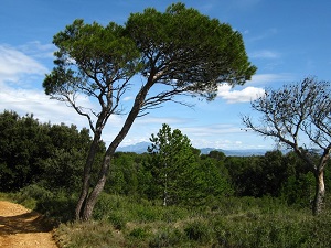 Hiking around Uchaux Massif (Vaucluse)