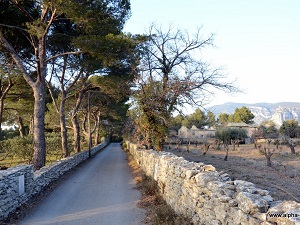 Randonnée autour des Monts du Vaucluse 7