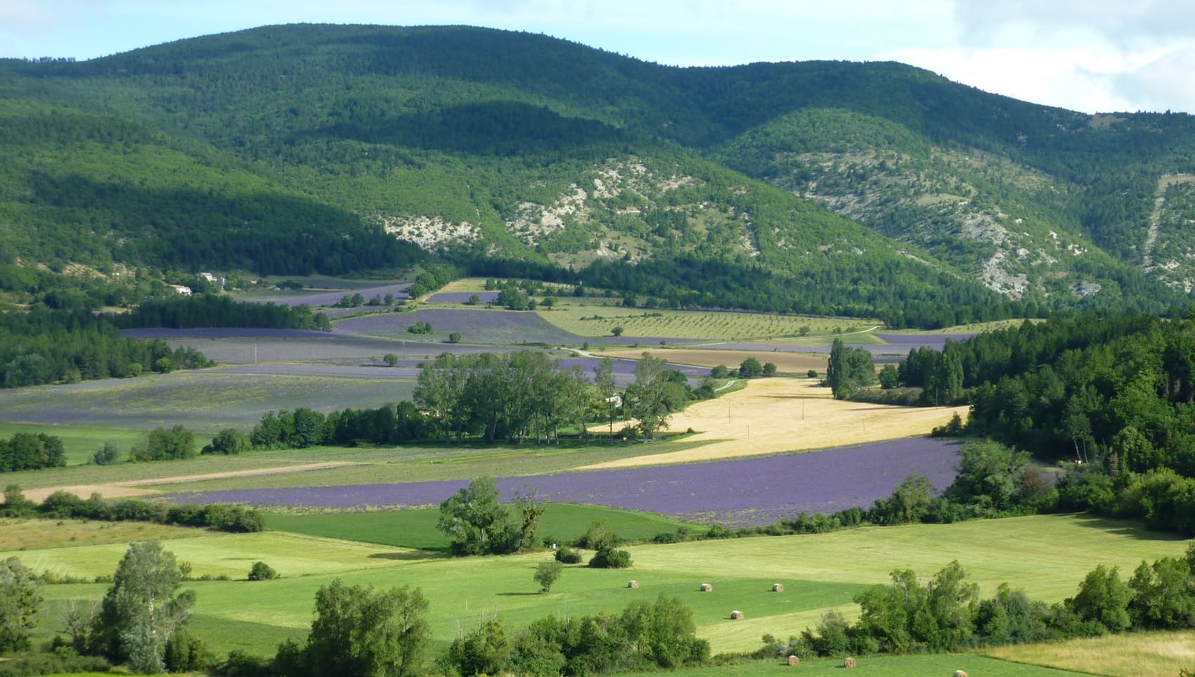 Loop around Mont Ventoux by the summit (Drome, Vaucluse)
