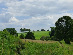 Hiking on the Tour of Vezere river (Correze) 5