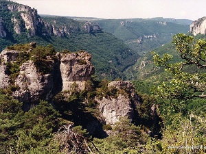 Randonnée autour du Viganais (Gard) 5