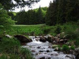 Randonnée autour du Viganais (Gard) 6