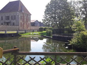 Randonnée sur le sentier des Vins et Fromages (Yonne, Aube) 7