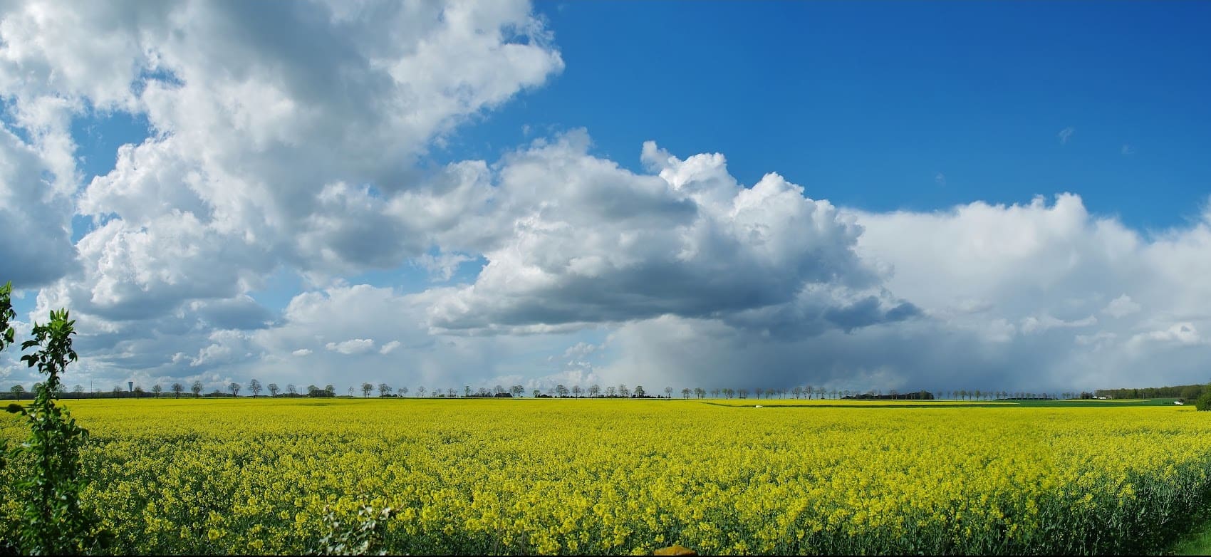 Traversée des Yvelines