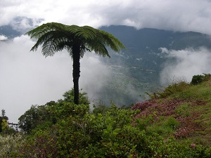 GR®R1 Hiking around Piton des Neiges (Reunion Island) 4