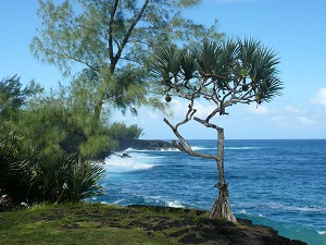 GR®R2 Hiking from St Denis to Le Baril (St Philippe)  (Reunion Island) 7