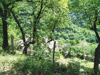 Alzons et la vallée de la Borne en Lozère 4