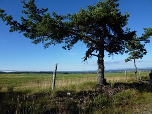 Randonnée de 21,7km à Châteauneuf-de-Randon 2