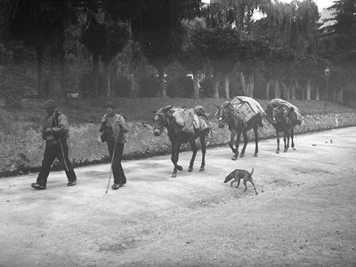 Mule drivers at La Bastide-Puylaurent 4