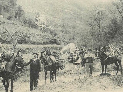 Mule drivers at La Bastide-Puylaurent 3