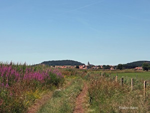 Randonnée de 13,5km au Bouchet Saint Nicolas en Haute-Loire 1