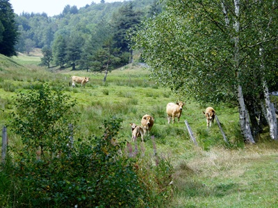 Du Cheylard l'Evêque à Luc par le GR®70 2