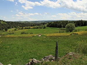 Randonnée de 15km au Cheylard-l'Evêque 3