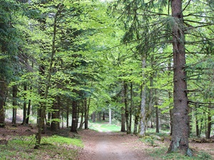 Randonnée de 20km au Cheylard-l'Evêque 2