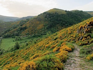 Randonnée de 8km au Pont-de-Montvert en Lozère 2