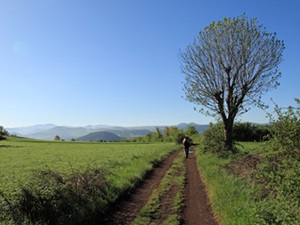 Randonnée de 8km au Pont-de-Montvert en Lozère 5