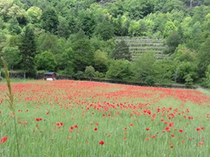 Randonnée de 8km au Pont-de-Montvert en Lozère 3