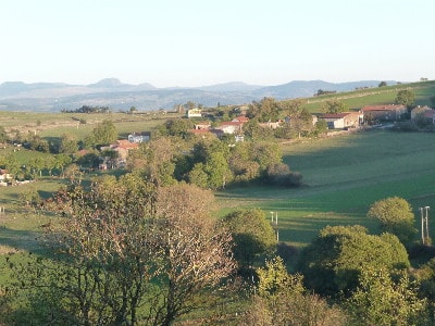 Plateau de la Haute-Loire