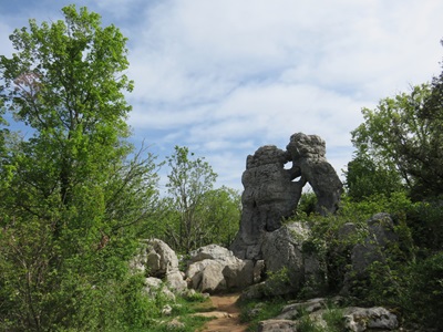 Le bois de Païolive près des Vans en Ardèche 7