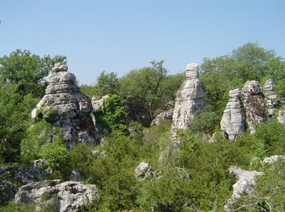 Le bois de Païolive près des Vans en Ardèche 1