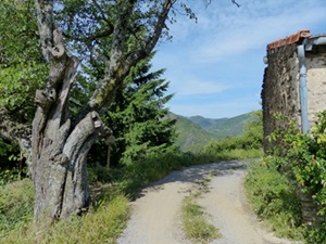 Randonnée pédestre en boucle de 22,5km au départ des Vans en Ardèche 3