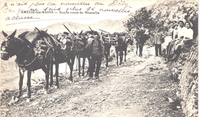 Les muletiers du Vivarais en Haute-Ardèche 4