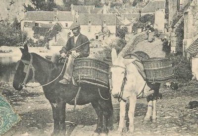 Les muletiers du Vivarais en Haute-Ardèche 1