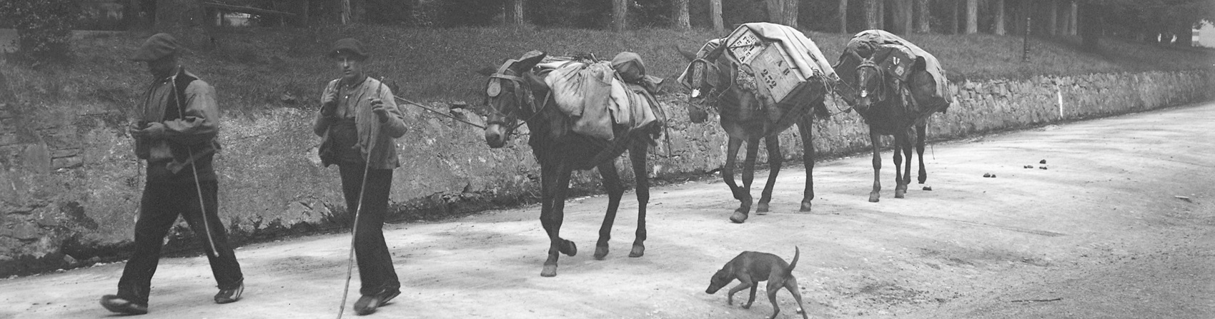 Les muletiers du Vivarais en Haute-Ardèche