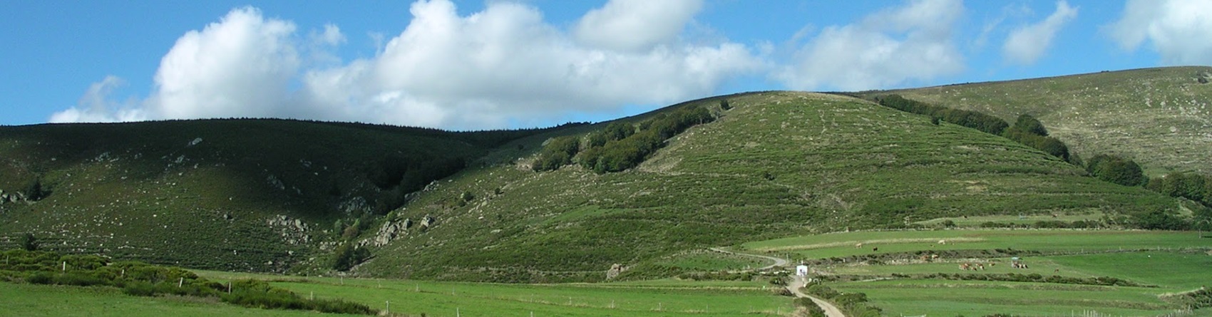 Transhumance en Vivarais